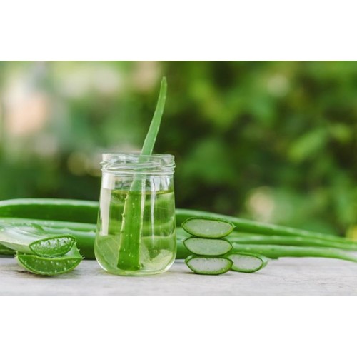 Himalayan Aloe Vera Gel