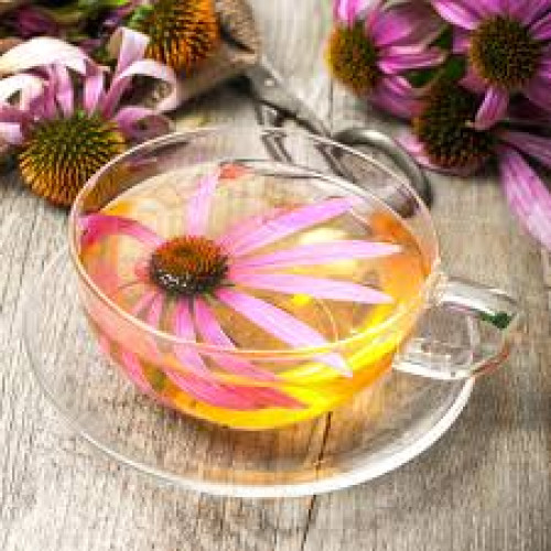 Himalayan Morning Refresher