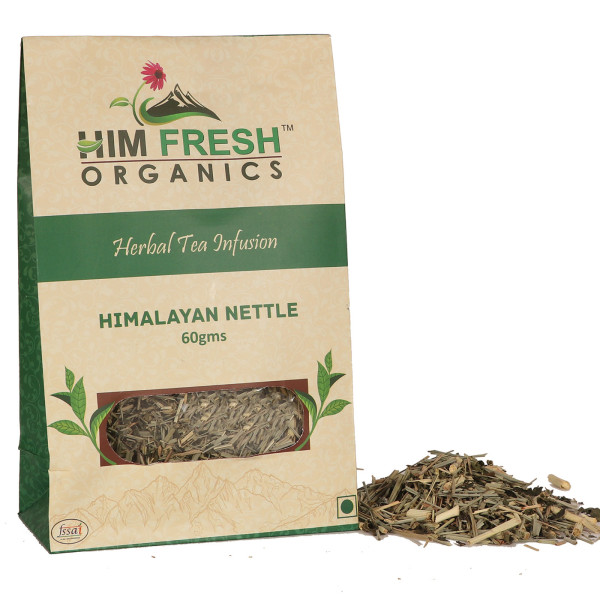 Himalayan Nettle