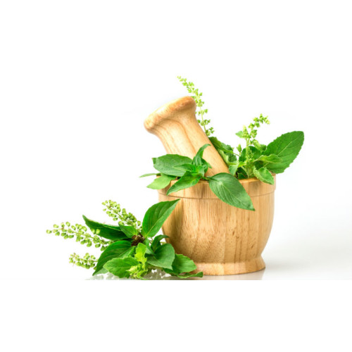 Tulsi Scrub Bar